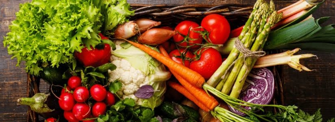 2022 Fresh Organic Produce 