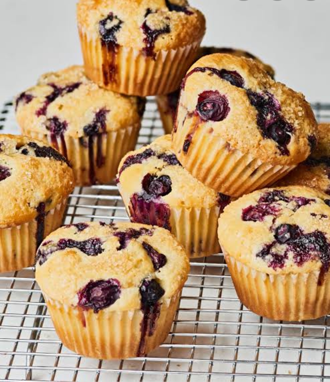 ::Blueberry Muffins(Gluten-Free)( Walnut Run Bakery)